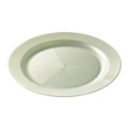 assiette ronde en plastique rigide blanc nacré (24 cm) x 12